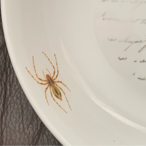 Skull with Script and Insects Porcelain Halloween Bowl - Picture 7 of 13